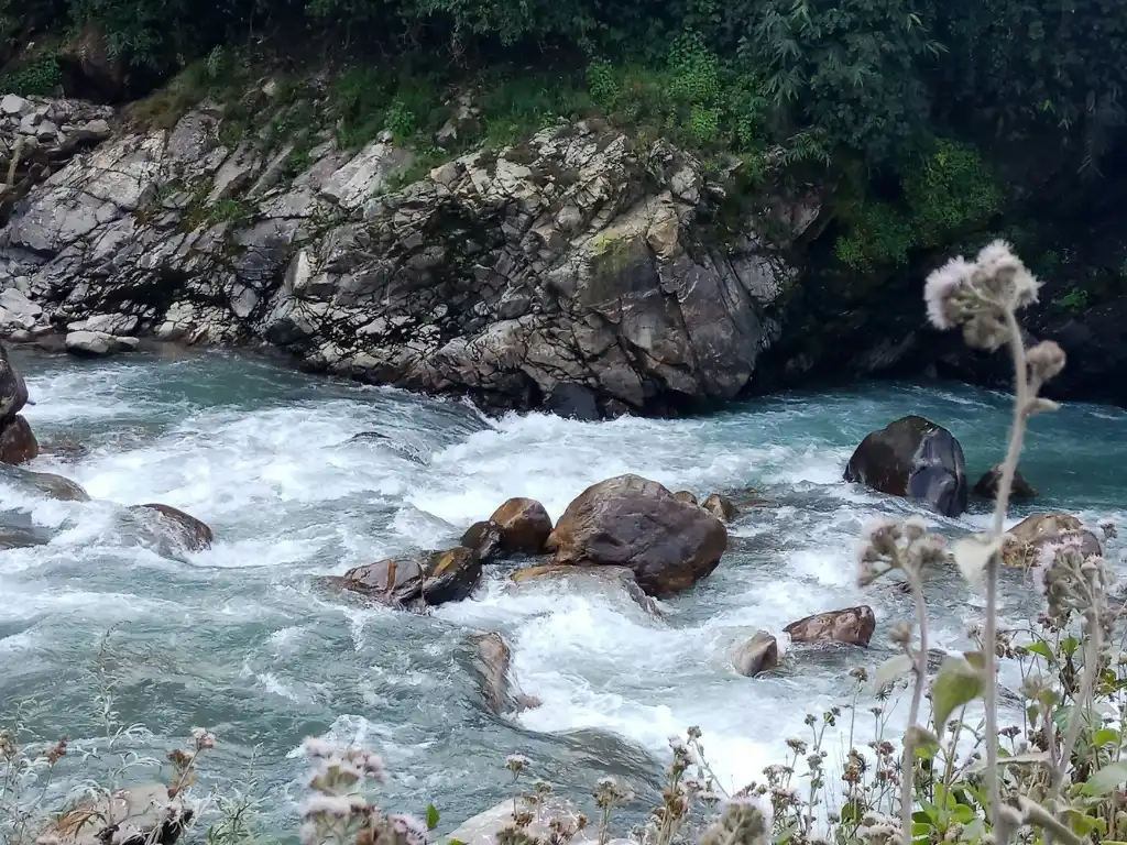 River stream on the way to Ghorepani