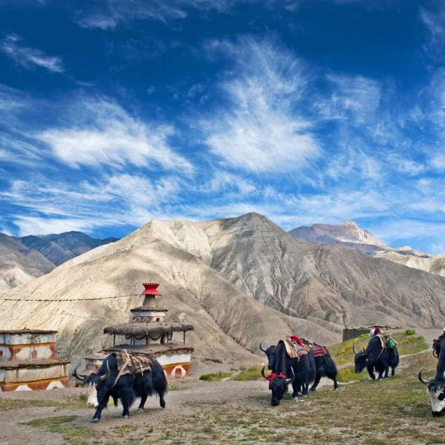 Dolpo Village